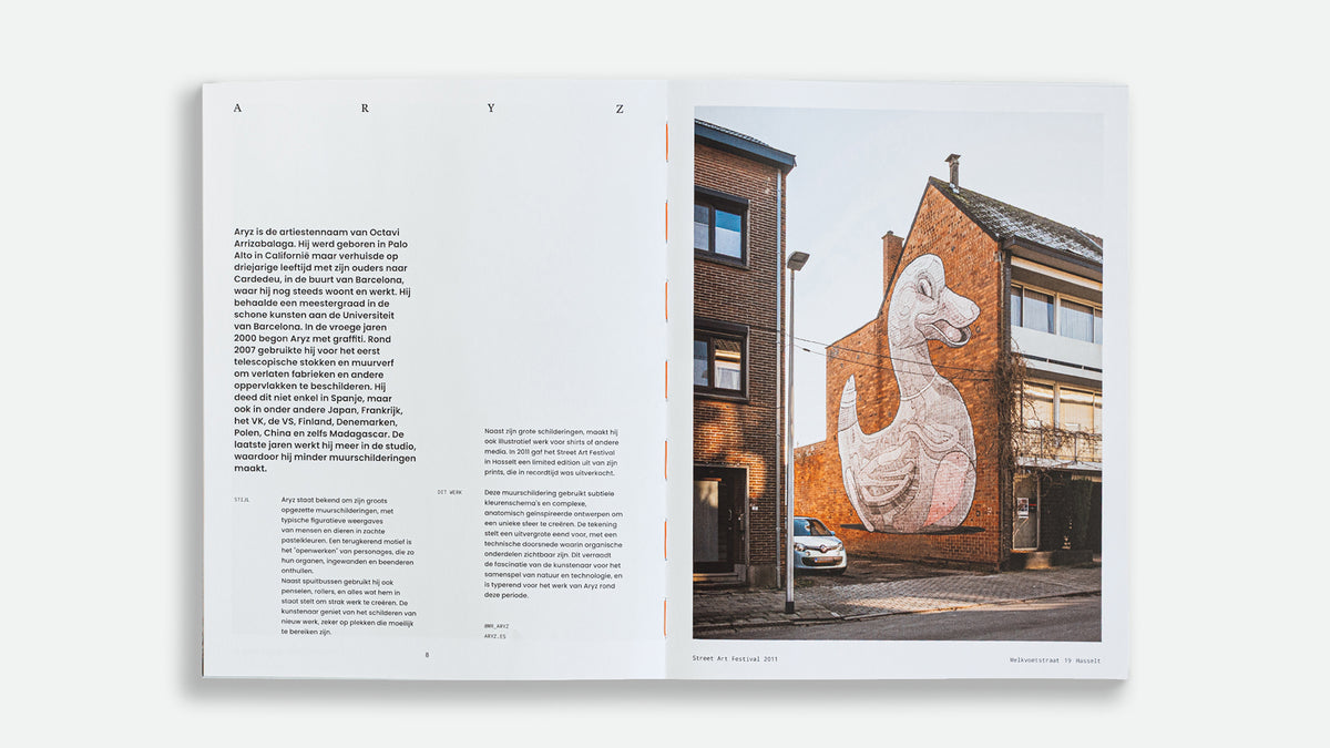 Street Art In Limburg
